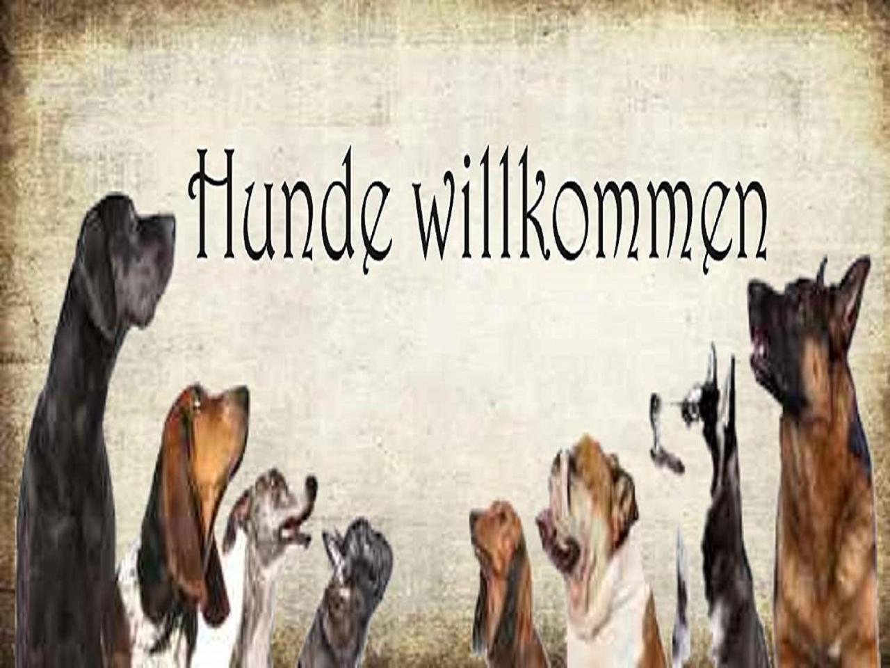 Allgaeuvilla Scheidegg Kültér fotó
