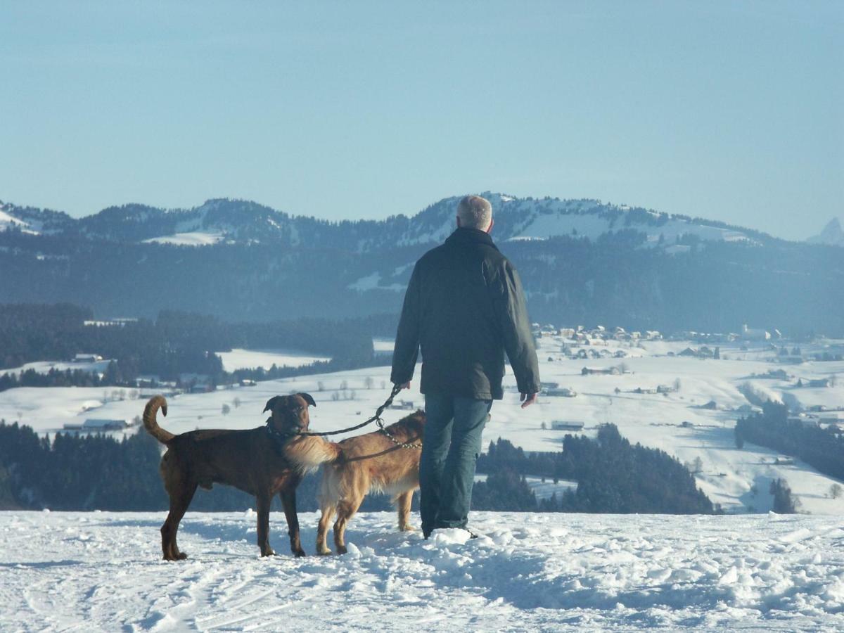 Allgaeuvilla Scheidegg Kültér fotó